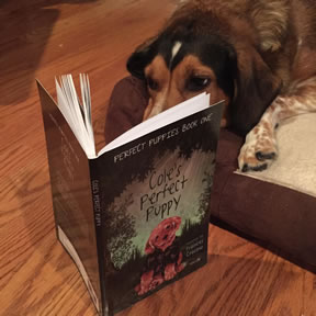 dog reading book